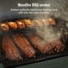 image:imageNinja FlexFlame Grill amp Smoker Electric amp Propane 5in1 SteelPG301  Ninja FlexFlame is a 5in1 grill smoker amp griddle with precise 200600F control fitting 3 chickens or 4 rib racksGreen