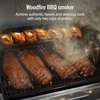 image:imageNinja FlexFlame Grill amp Smoker Electric amp Propane 5in1 SteelPG301  Ninja FlexFlame is a 5in1 grill smoker amp griddle with precise 200600F control fitting 3 chickens or 4 rib racksStainless Steel