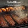 image:imageNinja FlexFlame Grill amp Smoker Electric amp Propane 5in1 SteelPG301  Ninja FlexFlame is a 5in1 grill smoker amp griddle with precise 200600F control fitting 3 chickens or 4 rib racksBlackGold