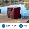 image:imageNinja FrostVault 65qt Cooler with Wheels Dry Storage Drawer Birch Beige  Ninja FrostVaults 65qt capacity holds 97 cans keeps food cool amp dry and rolls easily on allterrain wheelsMerlot