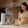 image:imageNinja NeverClog Cold Press Juicer 24oz Jug 36oz Pulp Silver JC151SL  150W hightorque auger juices fibrous fruits amp veggies Total Pulp Control 2 onetouch programs Dishwasher safeGray