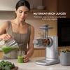 image:imageNinja NeverClog Cold Press Juicer 24oz Jug 36oz Pulp Silver JC151SL  150W hightorque auger juices fibrous fruits amp veggies Total Pulp Control 2 onetouch programs Dishwasher safeGray