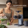image:imageNinja NeverClog Cold Press Juicer 24oz Jug 36oz Pulp Silver JC151SL  150W hightorque auger juices fibrous fruits amp veggies Total Pulp Control 2 onetouch programs Dishwasher safeBlueberry