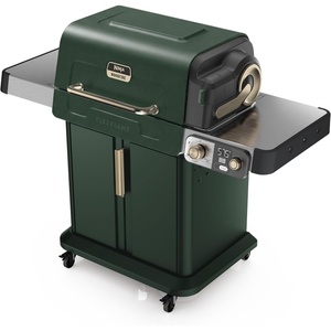 image:imageNinja FlexFlame Grill amp Smoker Electric amp Propane 5in1 SteelPG301  Ninja FlexFlame is a 5in1 grill smoker amp griddle with precise 200600F control fitting 3 chickens or 4 rib racksGreen