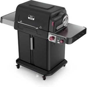 image:imageNinja FlexFlame Grill amp Smoker Electric amp Propane 5in1 SteelPG301  Ninja FlexFlame is a 5in1 grill smoker amp griddle with precise 200600F control fitting 3 chickens or 4 rib racksBlack
