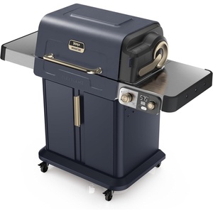 image:imageNinja FlexFlame Grill amp Smoker Electric amp Propane 5in1 SteelPG301  Ninja FlexFlame is a 5in1 grill smoker amp griddle with precise 200600F control fitting 3 chickens or 4 rib racksBlue