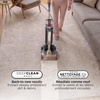 image:imageShark CarpetForce Lightweight Upright Carpet amp Area Rug Cleaner EX501BRN  For Carpets amp Area Rugs Lightweight Two Modes DirtDisrupt Brushroll Deep Clean Ultra Dirt amp Odor RemoverCarpetForce