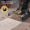 image:imageShark CarpetForce Lightweight Upright Carpet amp Area Rug Cleaner EX501BRN  For Carpets amp Area Rugs Lightweight Two Modes DirtDisrupt Brushroll Deep Clean Ultra Dirt amp Odor RemoverCarpetForce  HairPro