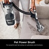 image:imageShark Detect Pro LiftAway ADV Vacuum DuoClean Detect Evergreen LA802  DuoClean Detect Direction Edge Floor and Dirt Sensors Odor Neutralizer HEPA Seal Accessories 5Year WarrantyRotator Pet Pro LiftAway w DuoClean