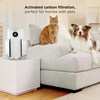 image:imageShark NeverChange Compact Pro Air Purifier HP071BRN Winter Fog  For Bedroom Nursery Home Office Dorm HEPAExceeding Filter Captures Pollutants Pet Dander Dust Odor Smoke and MoreWhite 650 sq ft