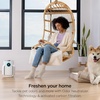 image:imageShark NeverChange Compact Pro Air Purifier HP071BRN Winter Fog  For Bedroom Nursery Home Office Dorm HEPAExceeding Filter Captures Pollutants Pet Dander Dust Odor Smoke and MoreQuartz 250 sq ft